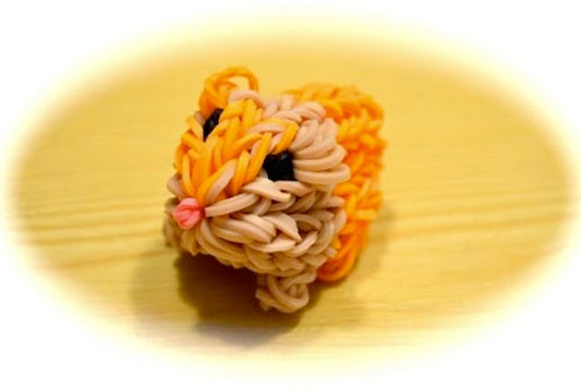 Hamster / Meerschweinchen (für Fortgeschrittene)
